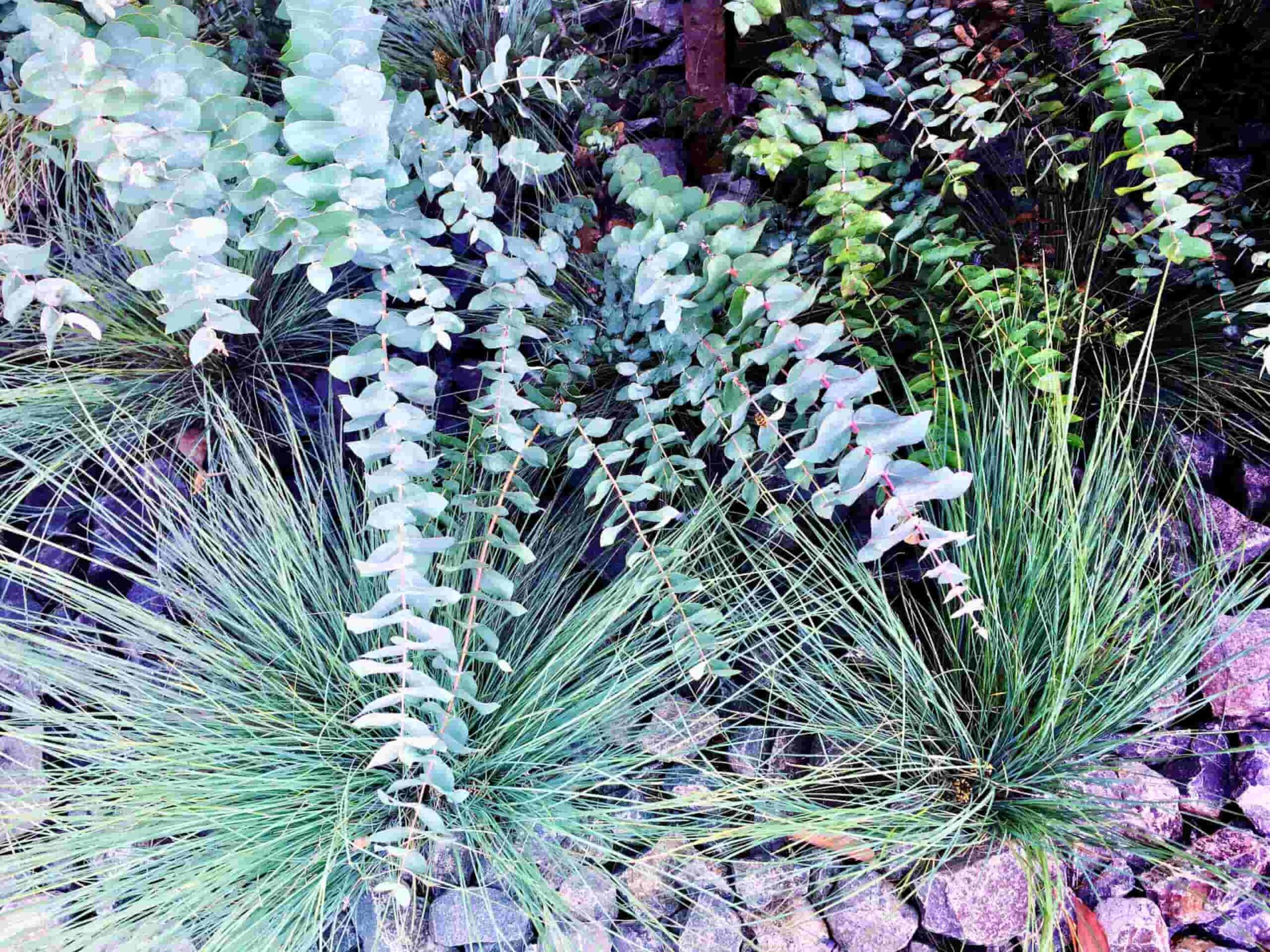Commercial Landscaping Maintenance.