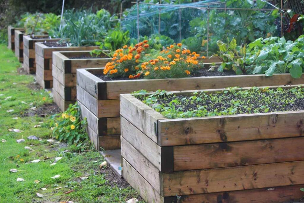 Garden Maintenance in Mernda