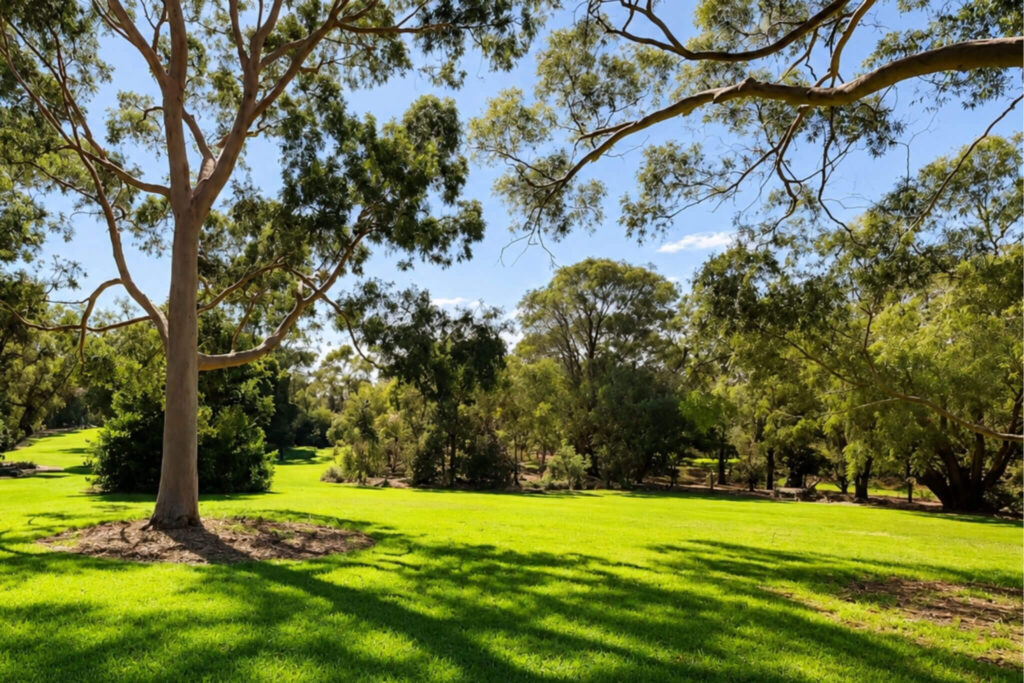frankston landscaping.